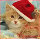 Meowy Christmas