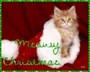 Meowy Christmas