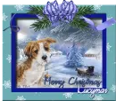 Lucymar