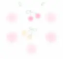 Cherry Background