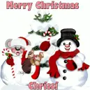 chrissi
