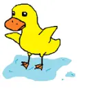 Duck Puddle