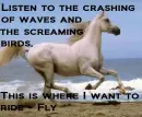 Horse and beach