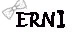erni cursor 