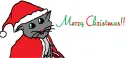 Christmas Kitten
