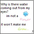 I'm not a flower,