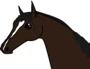 Horse Head