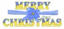 Merry Christmas -Poinsettia