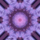 Background - Animated