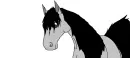 Grey Horse
