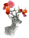 Dear, Deer.
