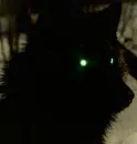 i see u