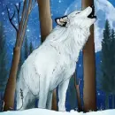 call of the wild
