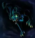 wolf of the sky