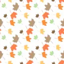 autumn,leaves,leaf,fall,brown,orange