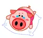 pig