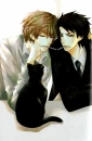 Zen x Yokozawa