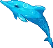 dolphin