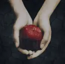Hands Holding Apple