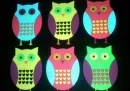 owls <3