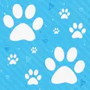 white paw prints