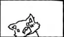 Sneezing Cat