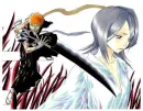 bleach - ichigo&rukia