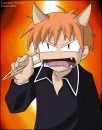 Neko Kyo