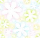 simply flowers