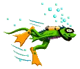 frog