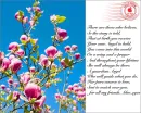 beautiful pink flowers