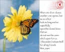 nice butterfly
