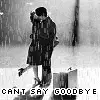 Goodbye