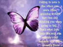 correct butterfly poem