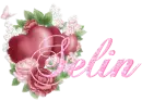 selin
