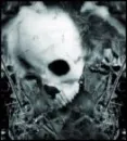 skull! 
