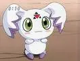 im a bunny!!