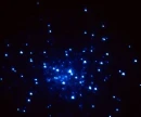 stars