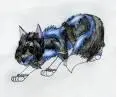 sasuke is a wolf!! 