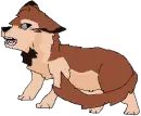 Taima