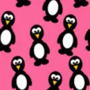 Penguin Background