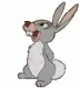 Bunny áƒ¦