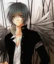 razor wings
