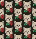 Kitty Rose background