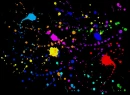 Splattered Paint