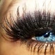 eyes