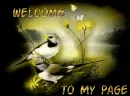 welcome 