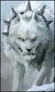 ice gaurd
