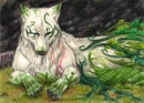 silver wood