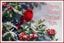 Warm Winter Wishes - Rita